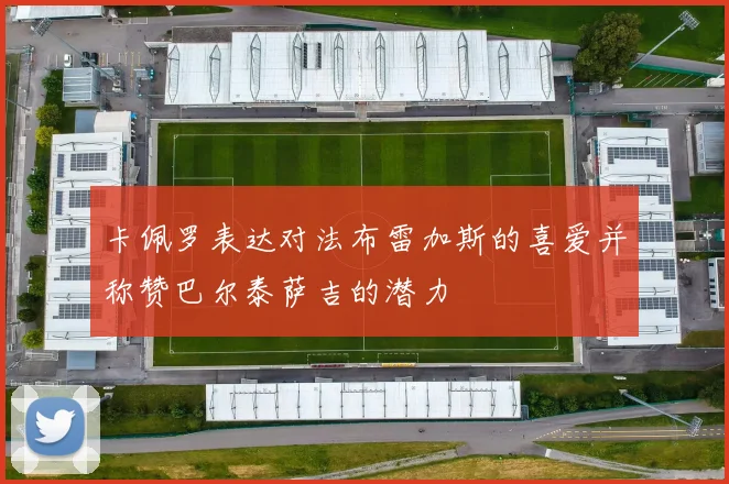 卡佩罗表达对法布雷加斯的喜爱并称赞巴尔泰萨吉的潜力
