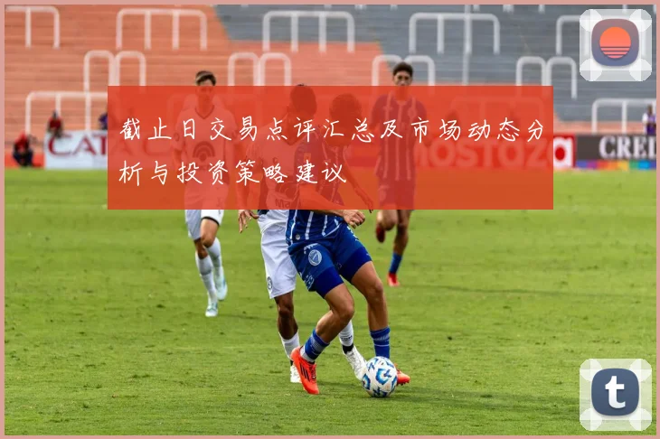 截止日交易点评汇总及市场动态分析与投资策略建议